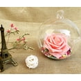 thumbnail image 3 of Glass Terrarium Decorative Glass Hanging Planter Glass Hanging Vase for Home, 3 of 7