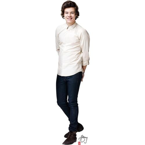 One Direction Harry Cardboard Standup Decoration (Each ...