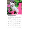 thumbnail image 4 of Chihuahua Puppies | 2027 7x14" (Hanging) Mini Wall Calendar, 4 of 9