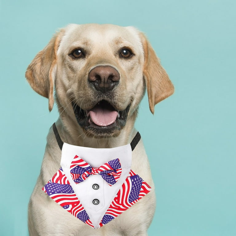  Dog Tuxedo, Formal Dog Wedding Bandana Dog Wedding Collar with Bow  Tie Dog Birthday Costume Adjustable Dog Party Outfit Dog Valentines Cosplay  for Small Medium Pets (S, Black) : Pet