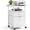White, variant on WoofPaw 2 Drawer Mobile File Cabinet, Rolling Fluted Filing Cabinet Under Desk File Cabinet with Wheels, Fabric Drawers Printer Stand for Home Office, Fits Letter Size, White
