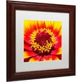 thumbnail image 2 of Trademark Fine Art "Floral Mass Coronal Ejection" Canvas Art by Kurt Shaffer, White Matte, Wood Frame, 2 of 4
