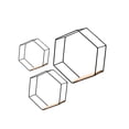 thumbnail image 2 of ziyahi Set of 3 Modern Hexagon Iron Wall Shelf bedroom living room office Display Floating Shelf Black, 2 of 9