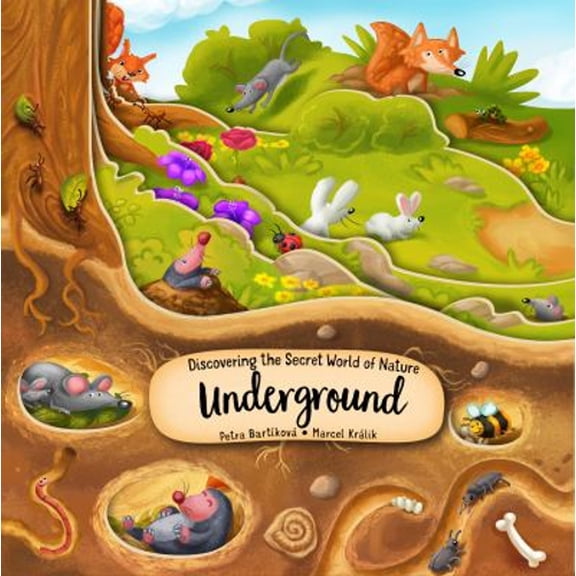 Pre-Owned Discovering the Secret World of Nature Underground (Hardcover) 1641241187 9781641241182
