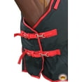 thumbnail image 3 of 76" Hilason 1200D Waterproof Turnout Horse Winter Belly Wrap Blanket, 3 of 6
