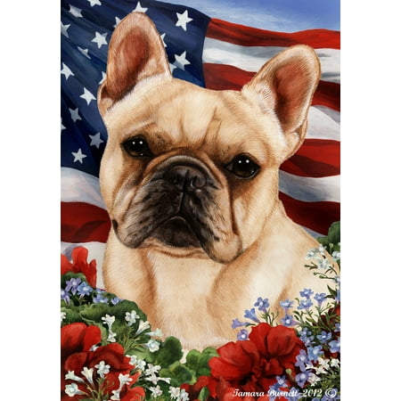 French Bulldog Cream - Best of Breed  Patriotic I Large (Best Looking French Bulldog)
