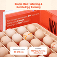 thumbnail image 4 of 36 Egg Incubator with Automatic Egg Turner, LED Egg Candler, Temperature & Humidity Control, 360° Clear View Window, Poultry Egg Incubator for Chicken, Duck, Goose & Quail Eggs, 4 of 6
