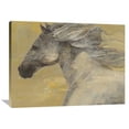 thumbnail image 1 of Global Gallery Albena Hristova 'Into the Wind' Canvas Wall Art, 1 of 4