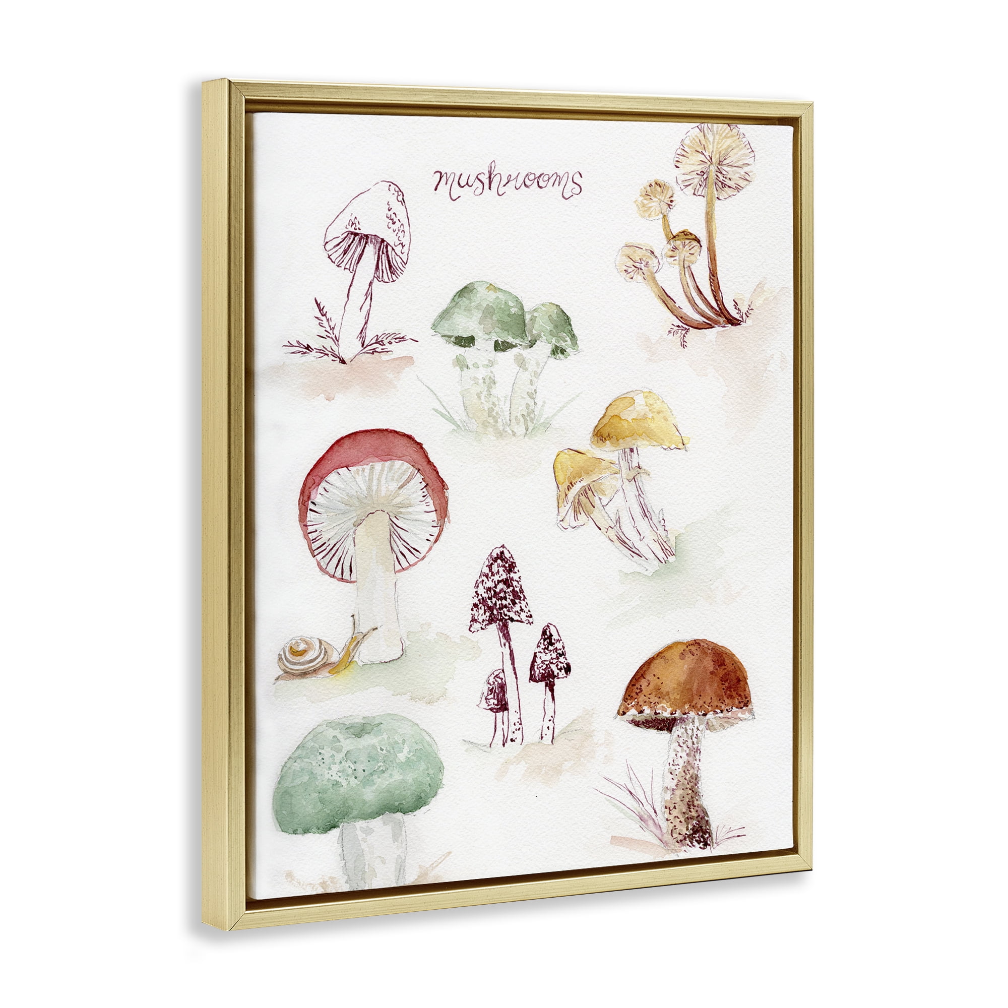Stupell Industries Types Of Mushrooms Botanical & Floral Painting Gold Floater Framed Art Print Wall Art, 17 x 21