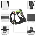 thumbnail image 6 of Lsque Vegetables2 Dog Harness, No-Pull Pet Harness with 2 Leash Clips, Adjustable Soft Padded Dog Vest with Easy Control Handle for Large Dogs-Small, 6 of 9