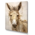 thumbnail image 2 of Designart "Refined Donkey Portraiture I" Animal Donkey Canvas Art Print, 2 of 7