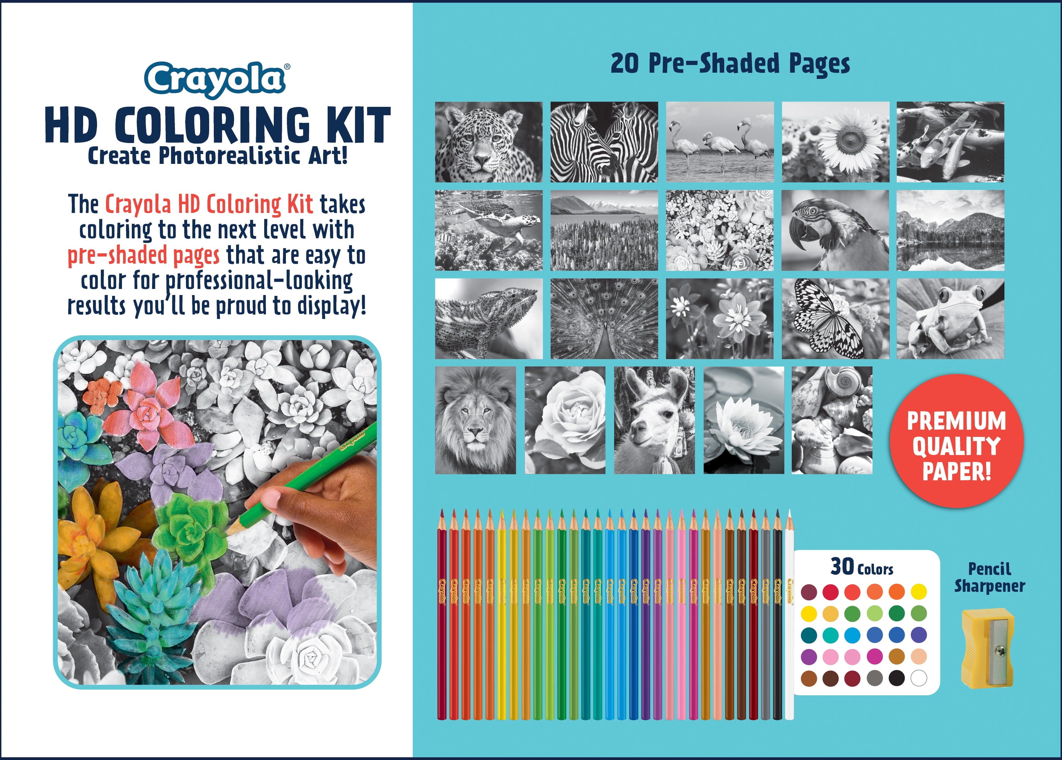 colouring kits for kids: Shop the Best Colouring Kit Online for Child - The  Economic Times