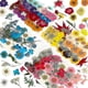 thumbnail image 1 of 144pcs Natural Dried Pressed Flowers For Resin,dry Flower Bulk Natural Herbs Kit For Candle,epoxy R Y-eyzi, 1 of 5