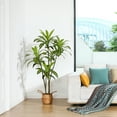thumbnail image 5 of DR.Planzen Artificial Dracaena Tree, 5FT Tall Fake Plants Artificial Dracaena Tree for Indoor, Fake Trees for Office Home Living Room Floor Patio Greening Porch Decor, Set of 1, 5 of 8