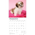 thumbnail image 4 of Shih Tzu Puppies | 2026 12x24" (Hanging) Square Wall Calendar | Plastic-Free, 4 of 9