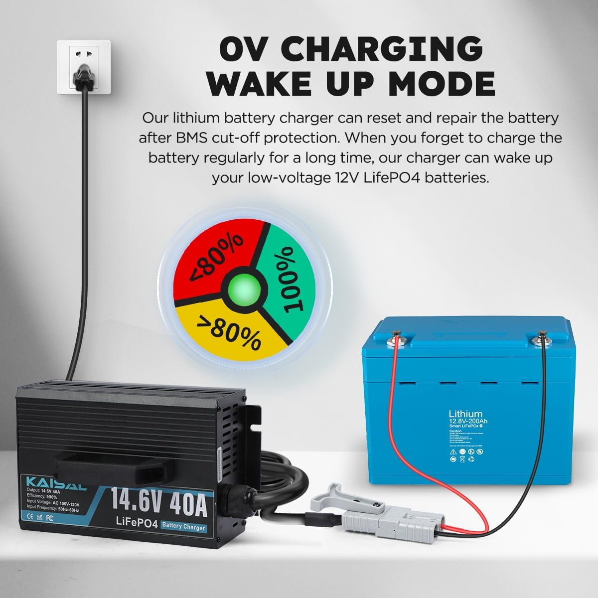 14.6V 40A Lithium Battery Charger LiFePO4 Battery Charger for 12.8V LiFePO4 Lithium Deep Cycle Rechargeable Batteries
