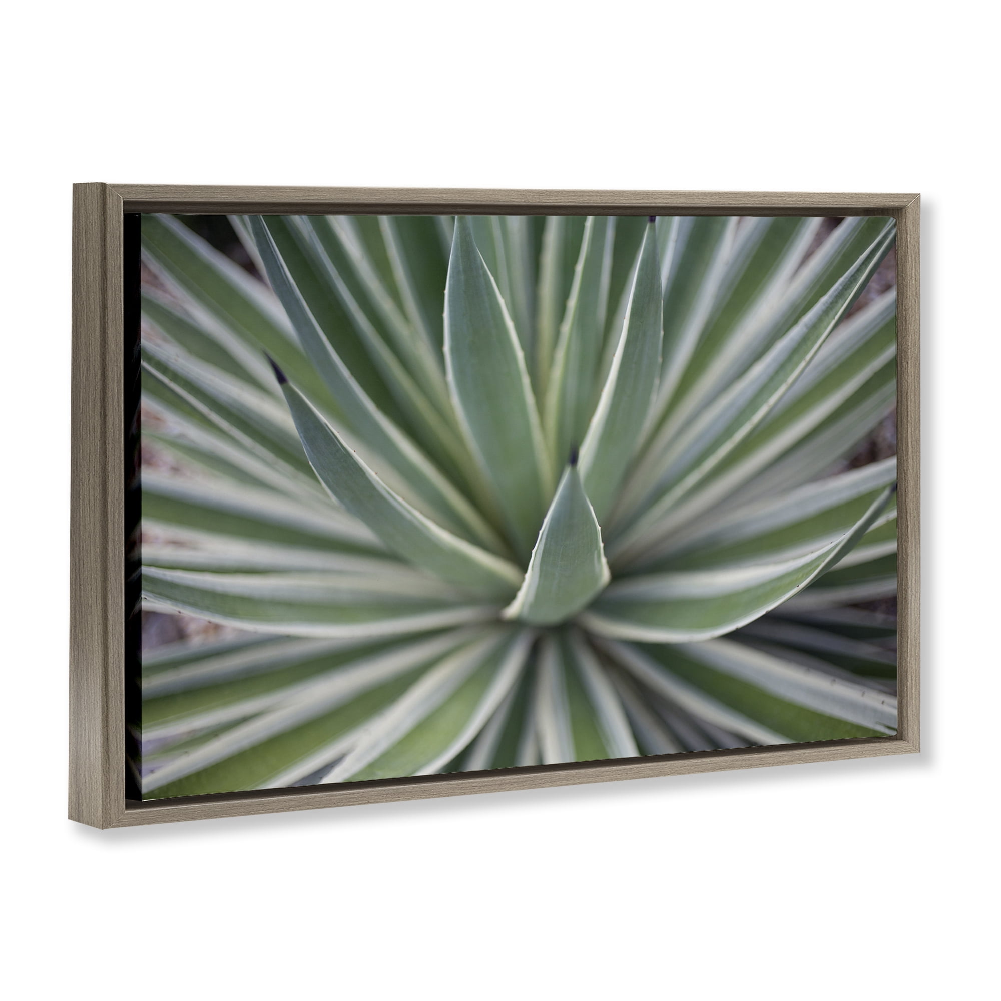 Stupell Industries Striped Plant Leaves Botanical & Floral Photography Brown Floater Framed Canvas Art Print Wall Art, 25 x 17