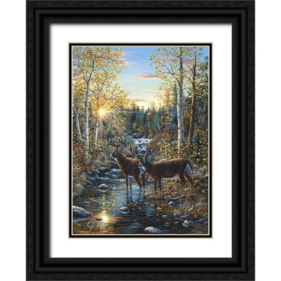 Tift, Jeff 11x14 Black Ornate Wood Framed with Double Matting Museum Art Print Titled - Whitetail Deer