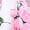 Pink, variant on OVAFBAU Girls Summer Clothing Sets Girls Knit Cardigan Sundress Solid Sleeveless Graphic Fall Casual Set