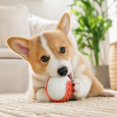 thumbnail image 6 of Interactive Dog Ball 2.5 Inch Glow in The Dark Dog Ball Paw Print Dog Toys Non Toxic Pet Chew Ball for Small Medium Dogs Red Puppy Oral and Play, 1 Pack, 6 of 6