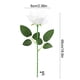 thumbnail image 3 of Plantas Artificiales De Plástico Paquete De 5 Ramos De Flores Artificiales Para Bodas En Casa, Flores Decorativas Multiusos De Plástico En Blanco, 48cm Rkxzt, 3 of 9