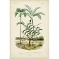 thumbnail image 3 of DOrbigny, M. Charles 17x24 Black Modern Framed Museum Art Print Titled - Antique Palm Collection VI, 3 of 5