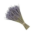 thumbnail image 1 of Wosthever Paquetes de lavanda seca natural, lavandas ligeras, hermoso ramo de flores, arreglo de flores, accesorio para fiesta en casa Decoración del hogar Lavanda seca 50 gramos Wosthever  HA084088-01, 1 of 6
