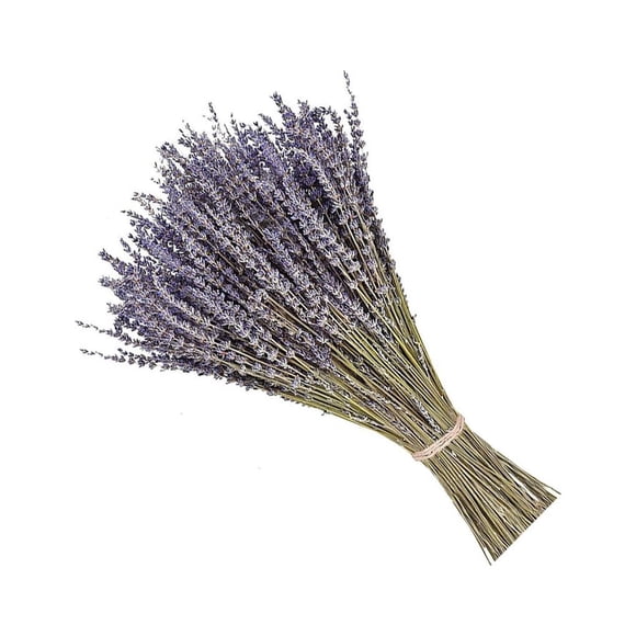 Wosthever Paquetes de lavanda seca natural, lavandas ligeras, hermoso ramo de flores, arreglo de flores, accesorio para fiesta en casa Decoración del hogar Lavanda seca 50 gramos Wosthever HA084088-01