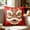 Red, variant on Festive Chinese Lion Dance Throw Pillow,Surface Displays Intricately Drawn Lion Dance Head Pattern Featuring Layered Decorative Ornaments,Fluffy White Fur Edges Details,18"(Red)