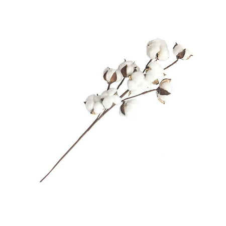 10 têtes Gossypium pétales naturels artificiels fleur séchée branche de  coton tige cadeau de noël fausse fleur | Walmart Canada