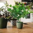 thumbnail image 3 of BotaniNest Fausses Vignes de Verdure Pothos Feuilles pour Mur Intérieur Cour, 3 of 6