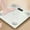 WH, variant on TopLLC Home Essentials, Home and Kitchen, Home Goods Weight Scale Home Intelligent Body Scale High Precision Bluetooth Electronic Scale Home intelligent weight scale