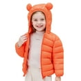 thumbnail image 2 of Toddler Winter Coat Cute Bear Hooded Jacket Long Sleeve Light Puffer Padded Jacket Toddler Warm Outerwear 2-3 Years, 2 of 9