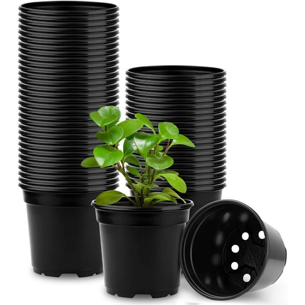 50 Pots de Pépinière de Plantes en Plastique, 4 5 Pots de Départ de Graines  de 6 Pouces, Contenant de Plantes à Fleurs pour Plantes d'Intérieur (Noir,  4 Pouces / 10 Cm) Noir 4 Pouces 