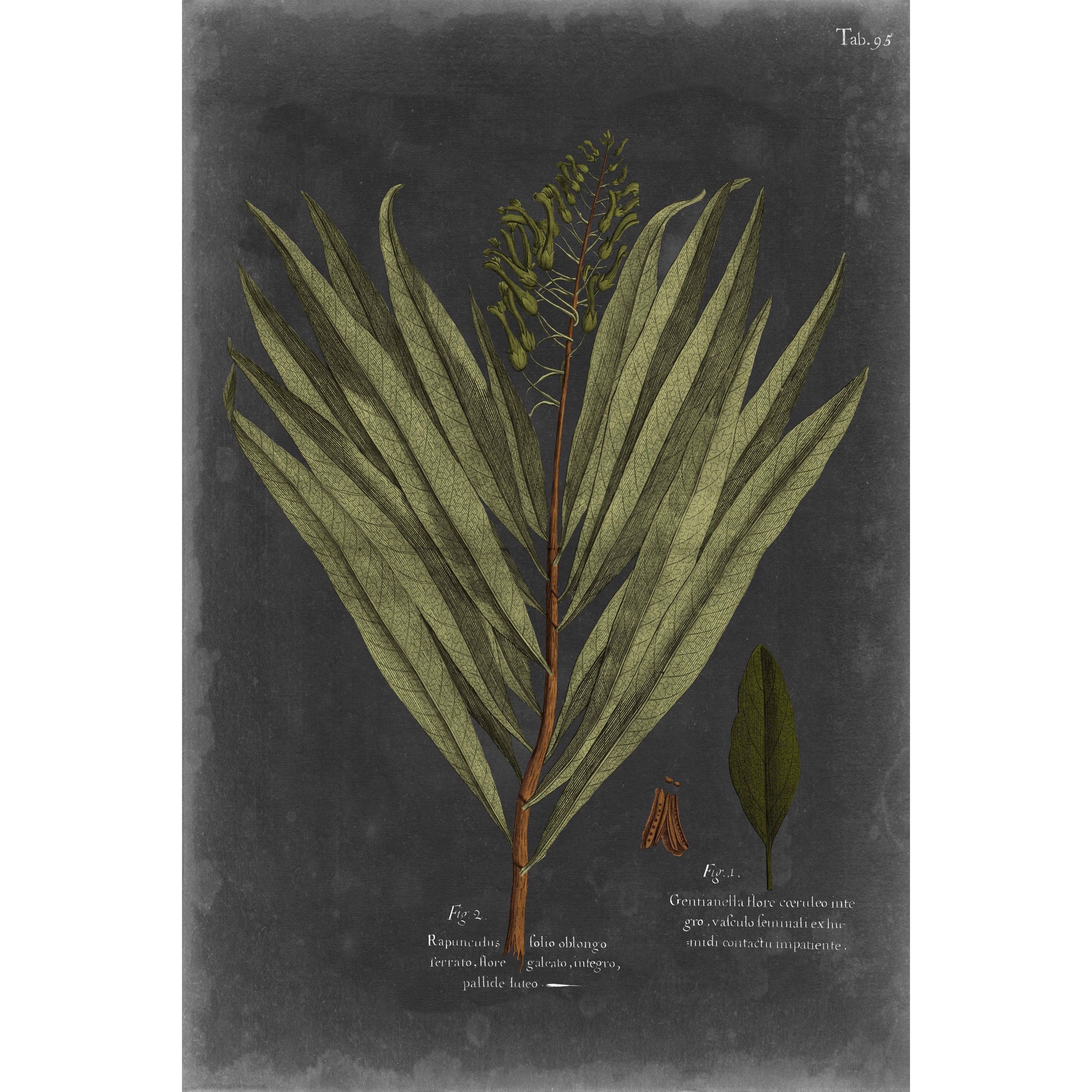 Marmont Hill "Foliage Dramatique II" Painting Print on Wrapped Canvas