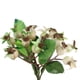 thumbnail image 4 of Planta artificial realista Rama de fruta Sunnimix Rama de baya artificial, 4 of 8