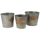 thumbnail image 1 of Cubo de hierro multifuncional 3 unids Plantador de flores seco plantador de plantas de decoración del hogar, 1 of 5