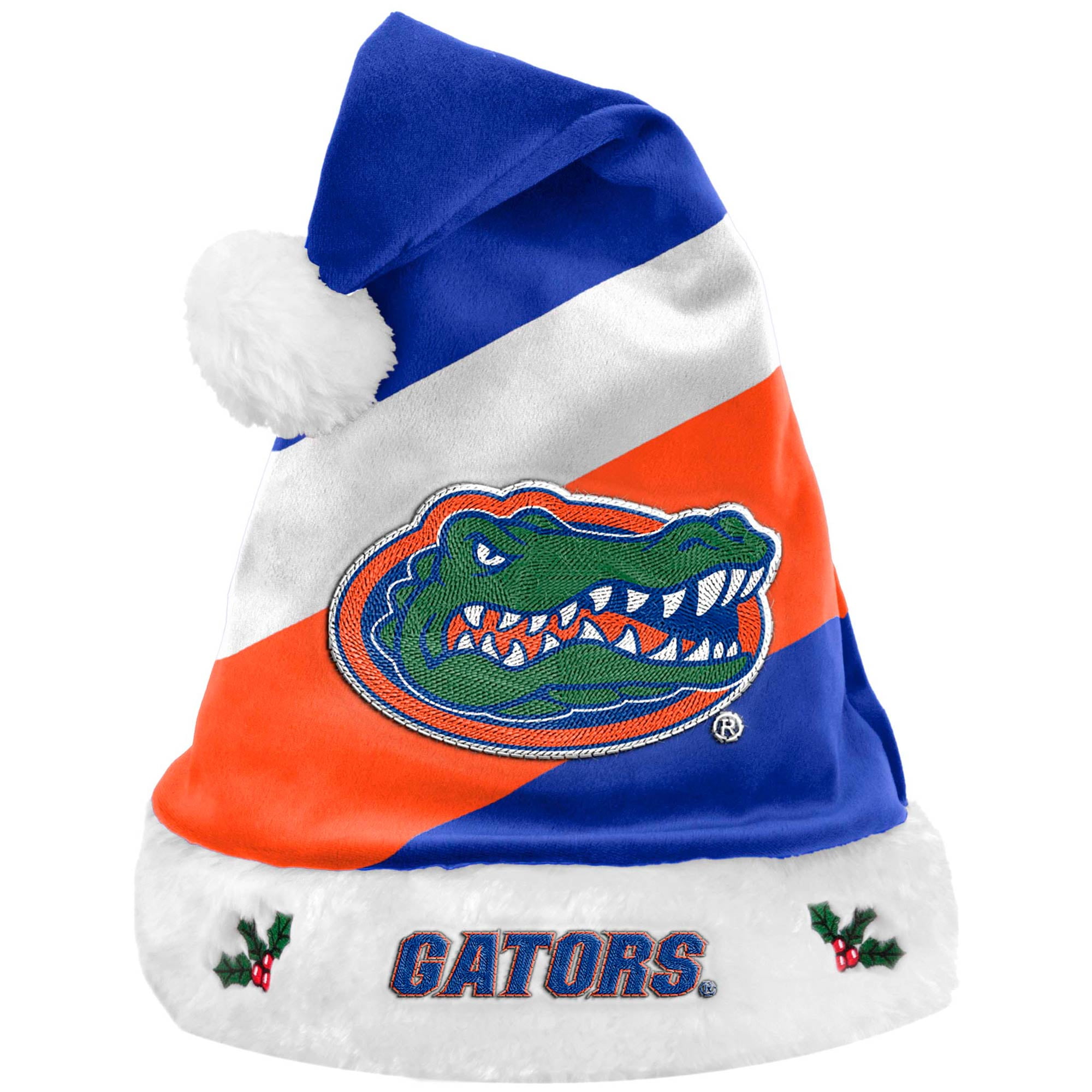 Florida Gators Team Santa Hat - Walmart.com