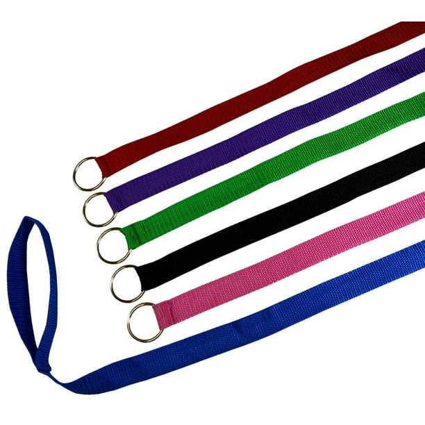 6 Foot Slip Lead, Slip Leads, Kennel Leads with O Ring for Dog Pet