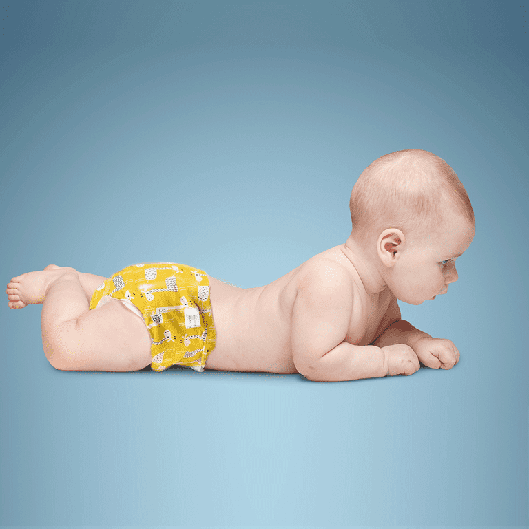 SMULPOOTI 8 Packs Reusable Toddler Training Underwear Girls for