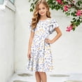 thumbnail image 4 of Grblisyd Girls Dress Cute Floral Print Ruffle Short Sleeve Crew Neck A Line Dresses Kids Summer Casual Soft Sundress, 4 of 5