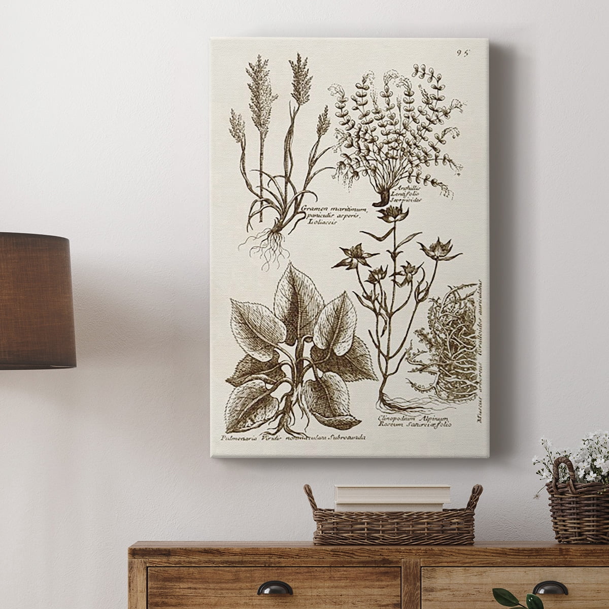 Sepia Botanical Journal VII Premium Gallery Wrapped Canvas - Ready to Hang
