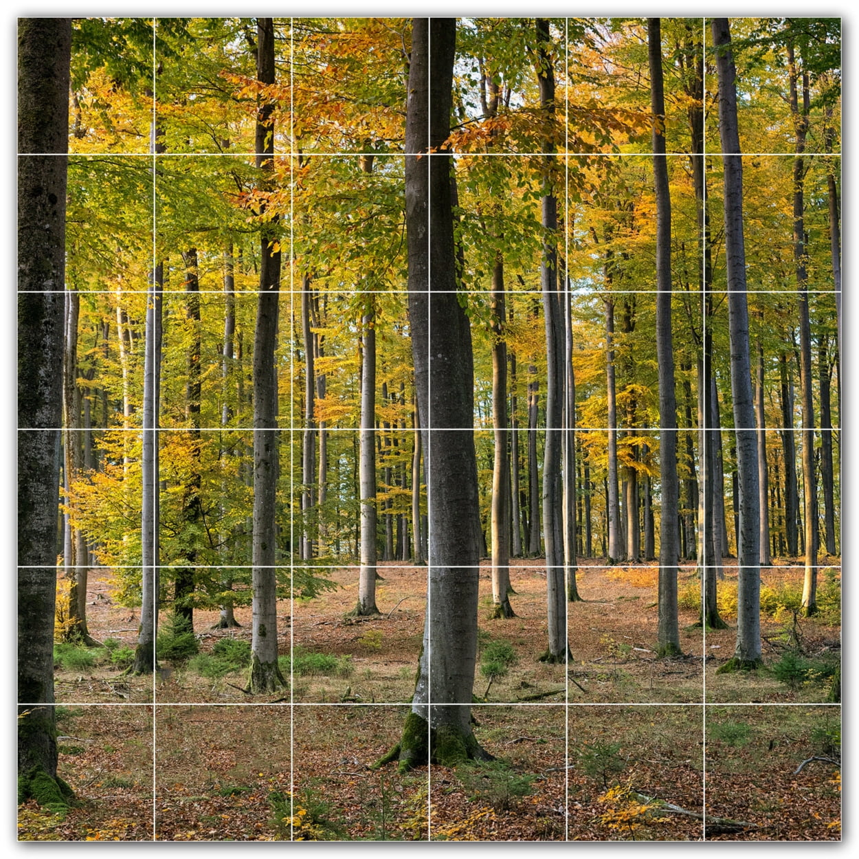 Tiling Tree Background Picture-Tiles.com: Trees Ceramic Tile Wall Mural WAL501031-66L. 48