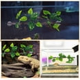 thumbnail image 3 of SOPOTUTU 2Pcs Flexible Jungle Climbing Branch Artificial Terrarium Plants for Lizard Tank, 3 of 8