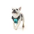 thumbnail image 1 of Arnés para perros HEELE, no tira, reflectante, ajustable, color turquesa S, 1 of 6