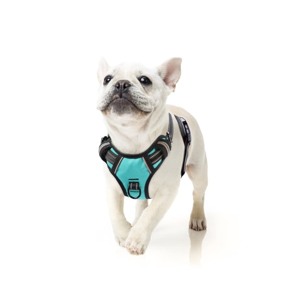Arnés para perro HEELE pequeño, antitirones, reflectante y ajustable