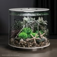 thumbnail image 3 of biOrb Amazonas Elements - Aquarium Decor, 3 of 10