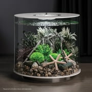biOrb Amazonas Elements - Aquarium Decor