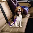 thumbnail image 4 of 6pcs Adjustable Dog Cat Seat Belt Safety Cables for Vehicle Car Harness Nylon Fabric, 4 of 5