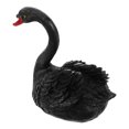 thumbnail image 1 of unbranded Negro De Cisne Para Piscina Para, 1 of 6
